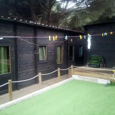 Surf Camp Ecologico ロッジ コスタ・ダ・カパリカ