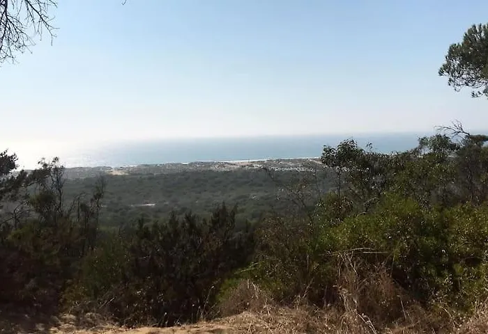 Surf Camp Ecologico Costa de Caparica