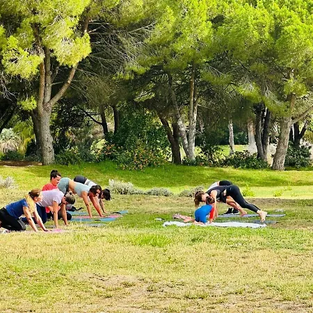 Alojamento de Turismo Selvagem Surf Camp Ecológico *