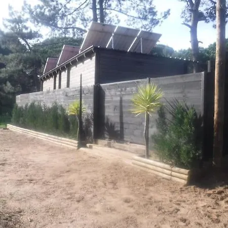 Surf Camp Ecológico * Costa da Caparica