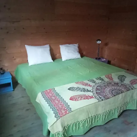 Surf Camp Ecologico