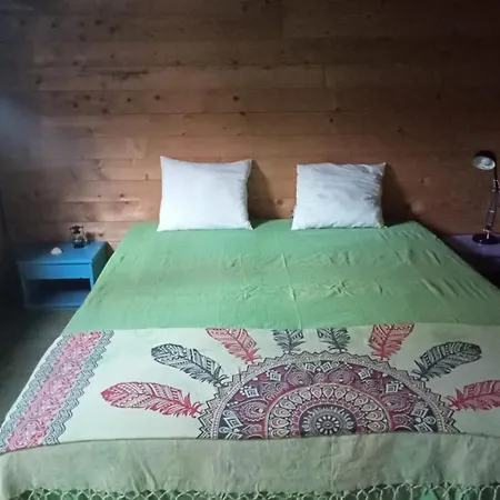 Surf Camp Ecologico *
