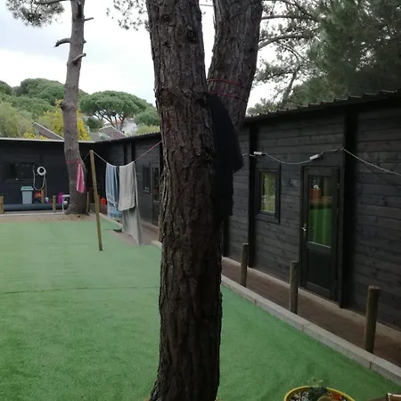 Lodge Surf Camp Ecologico Costa da Caparica