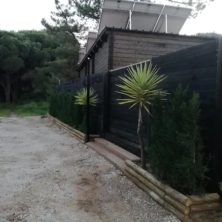 Surf Camp Ecologico * Costa da Caparica