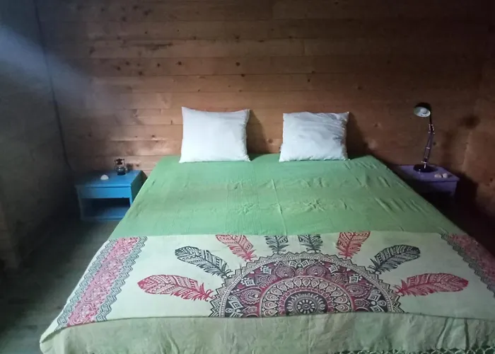 Surf Camp Ecologico *