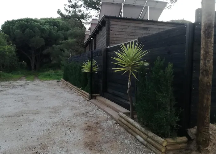 Surf Camp Ecologico * Costa de Caparica